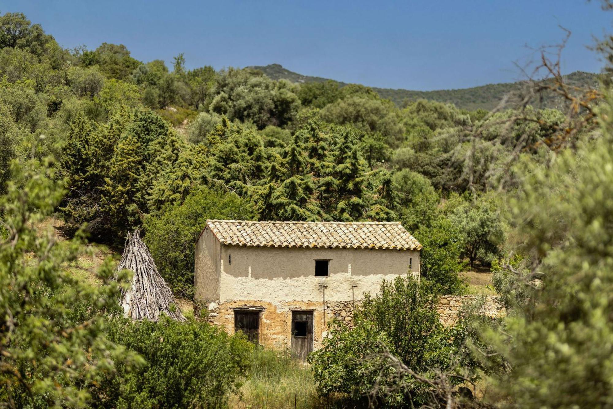 Soul Valley All-In Boutique Hotel With Yoga & Wellness Maracalagonis Buitenkant foto